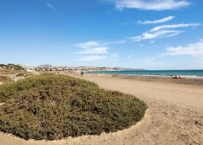 Arenas Διαμέρισμα